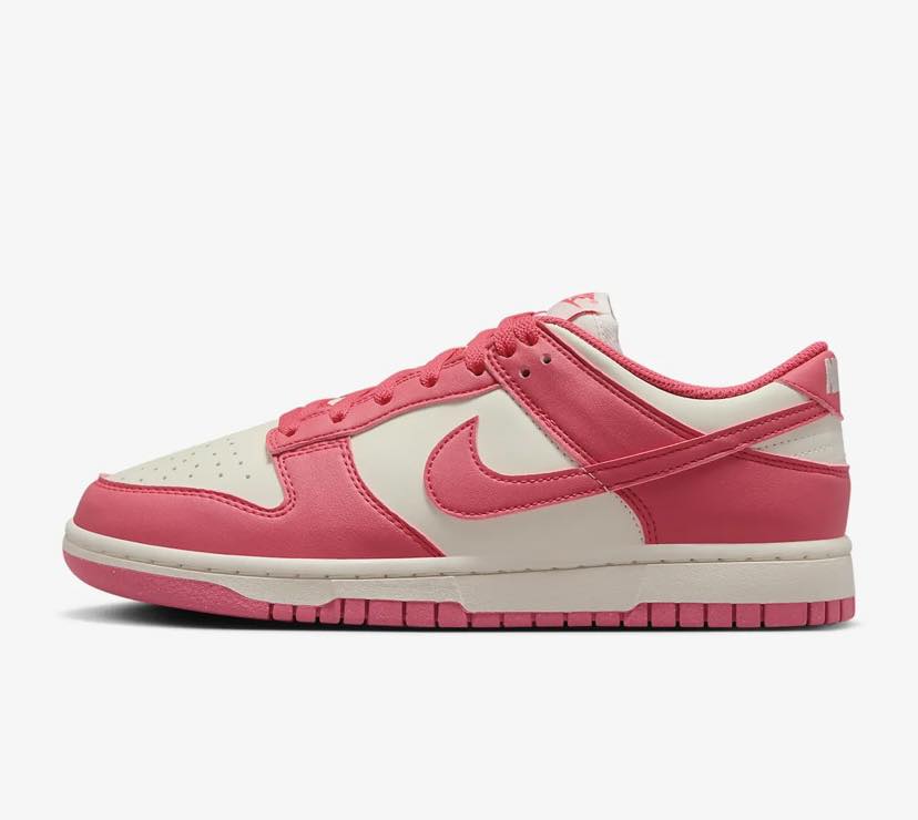 TENI NIKE DUNK LOW