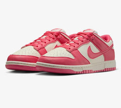 TENI NIKE DUNK LOW