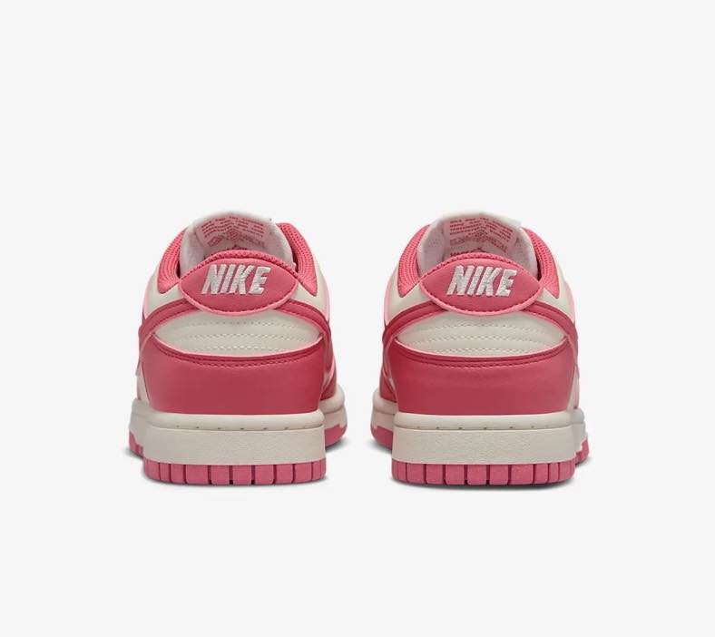 TENI NIKE DUNK LOW