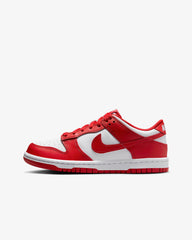 Nike Dunk Low TEENS